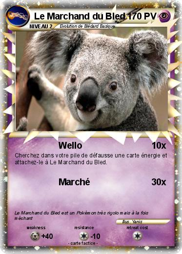 Pokemon Le Marchand du Bled