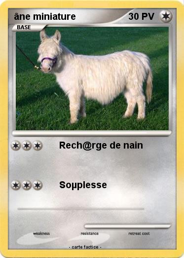 Pokemon âne miniature