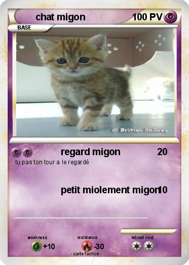 Pokemon chat migon