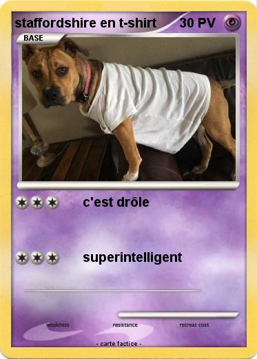 Pokemon staffordshire en t-shirt