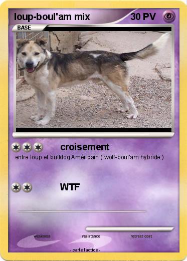 Pokemon loup-boul'am mix