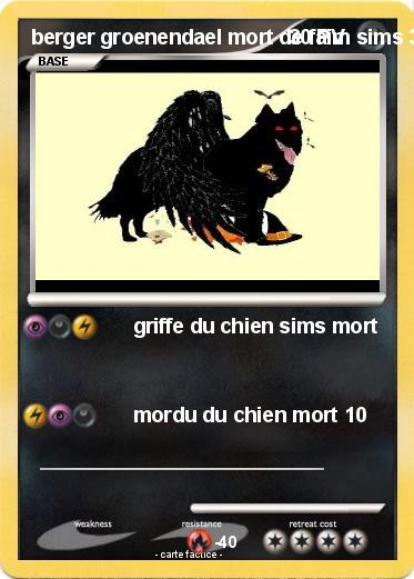 Pokemon berger groenendael mort de faim sims 3 animaux & cie