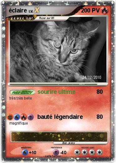 Pokemon éclaire
