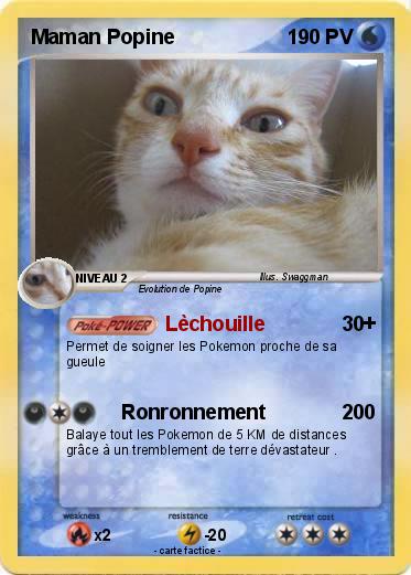 Pokemon Maman Popine