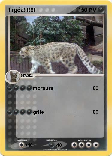 Pokemon tirgéa!!!!!!!