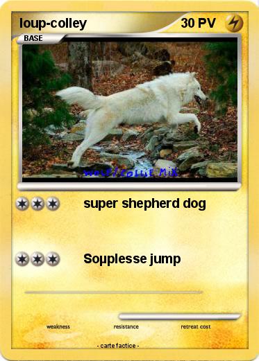 Pokemon loup-colley