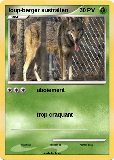 Pokemon loup-berger australien