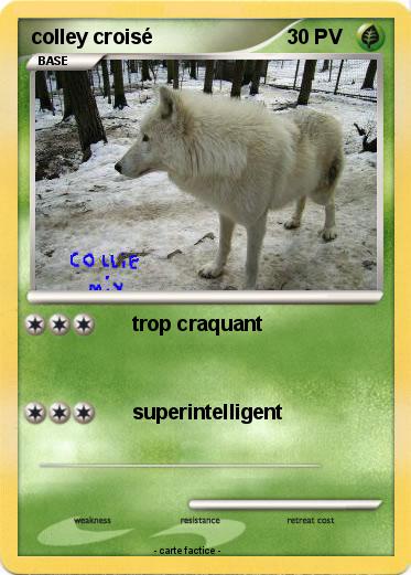 Pokemon colley croisé