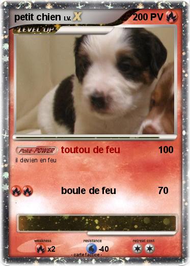 Pokemon petit chien