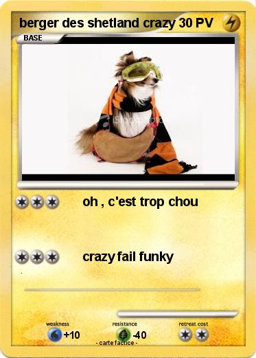 Pokemon berger des shetland crazy