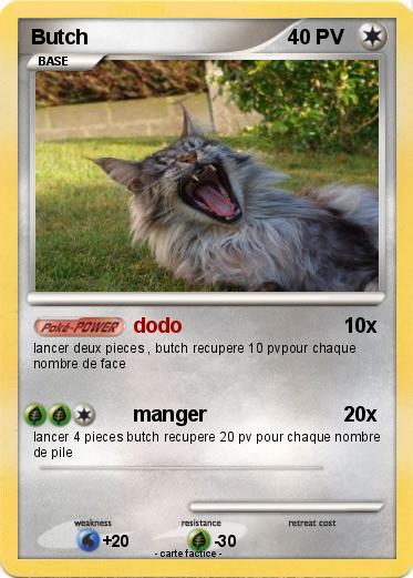Pokemon Butch