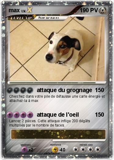 Pokemon max