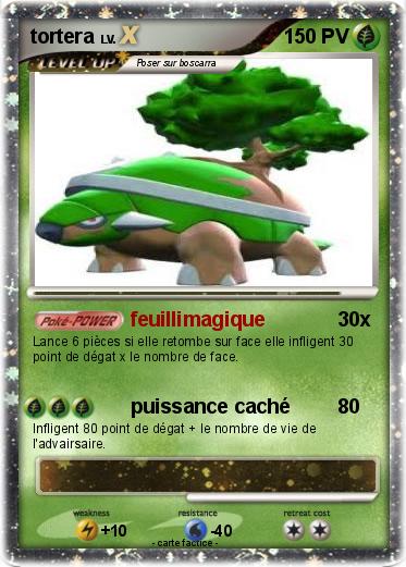 Pokemon tortera