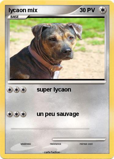 Pokemon lycaon mix