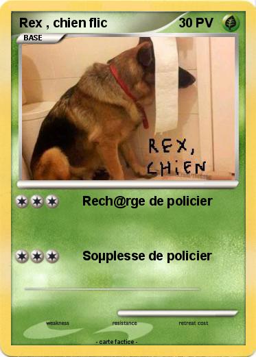 Pokemon Rex , chien flic