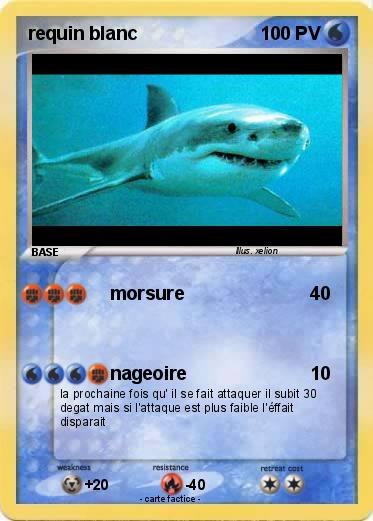 Pokemon requin blanc