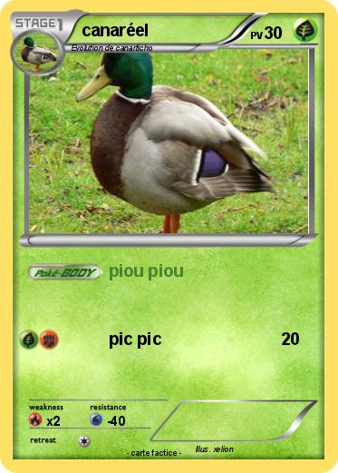 Pokemon canaréel
