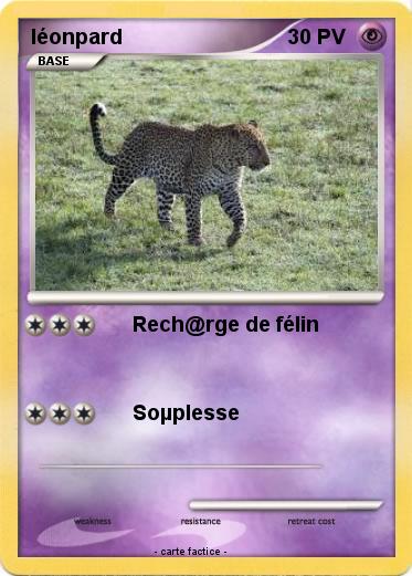 Pokemon léonpard