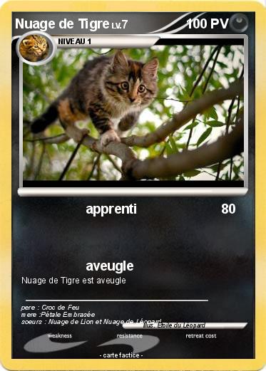 Pokemon Nuage de Tigre