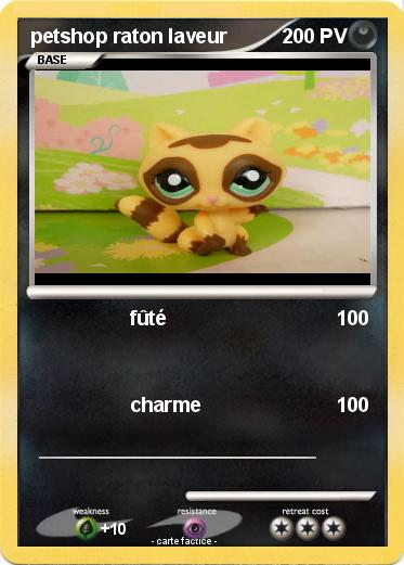 Pokemon petshop raton laveur