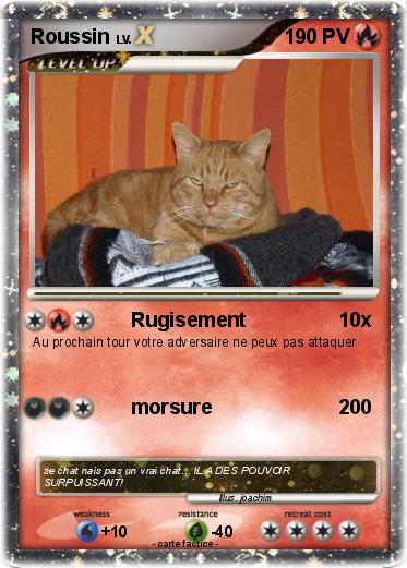 Pokemon Roussin