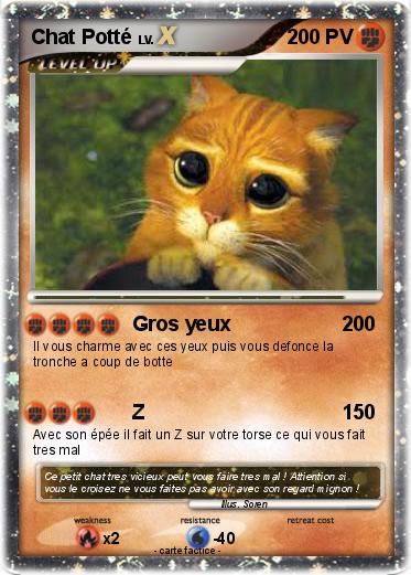 Pokemon Chat Potté