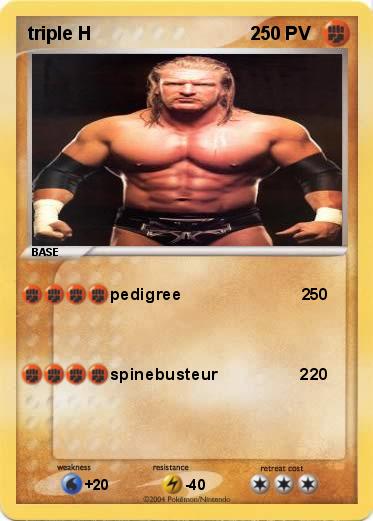 Pokemon triple H                               2