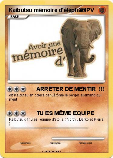 Pokemon Kaibutsu mêmoire d'éléphant
