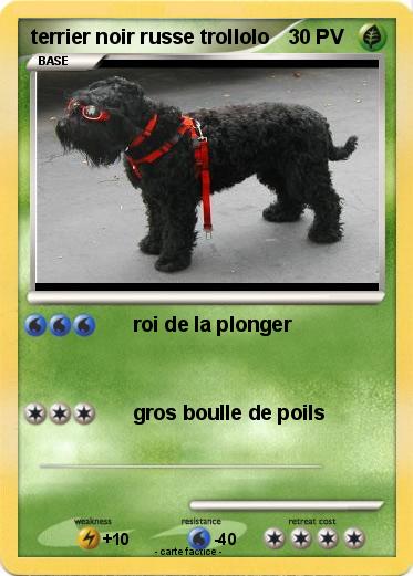 Pokemon terrier noir russe trollolo