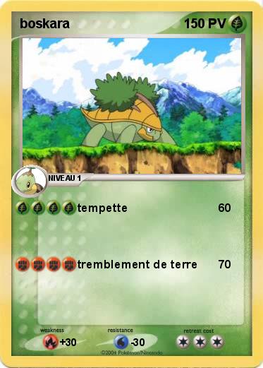 Pokemon boskara