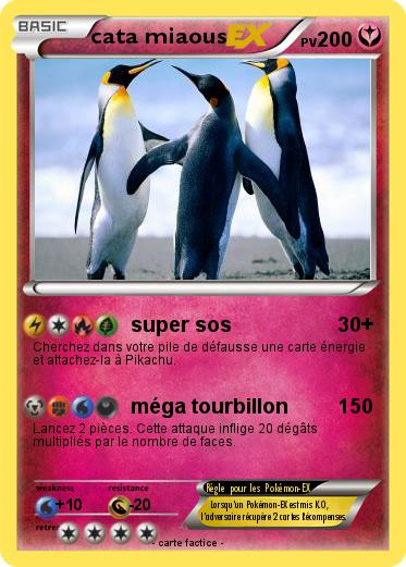 Pokemon cata miaous