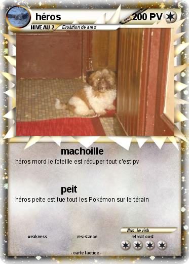 Pokemon héros