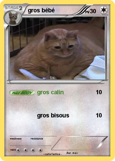 Pokemon gros bébé