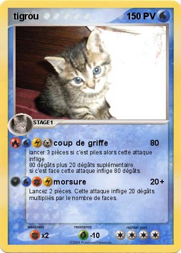 Pokemon tigrou