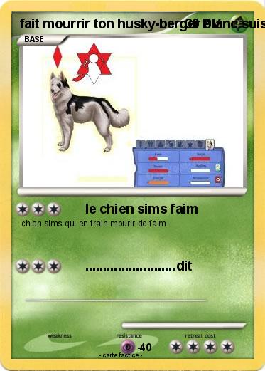Pokemon fait mourrir ton husky-berger blanc suisse sims 3 animaux & cie