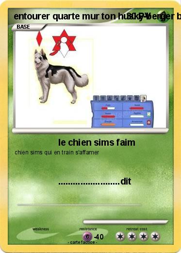 Pokemon entourer quarte mur ton husky-berger blanc suisse qui s'affamer et travailleur va prendre le chien sims sims 3 animaux & cie