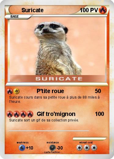 Pokemon Suricate