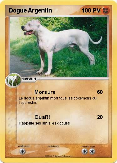 Pokemon Dogue Argentin