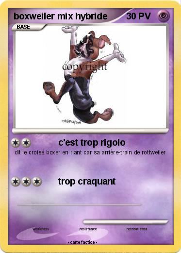 Pokemon boxweiler mix hybride