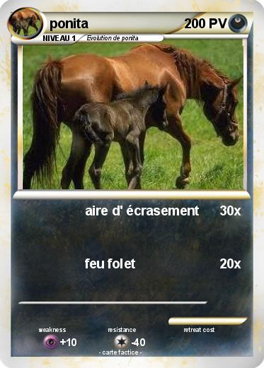 Pokemon ponita