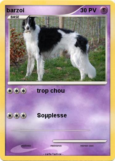 Pokemon barzoi