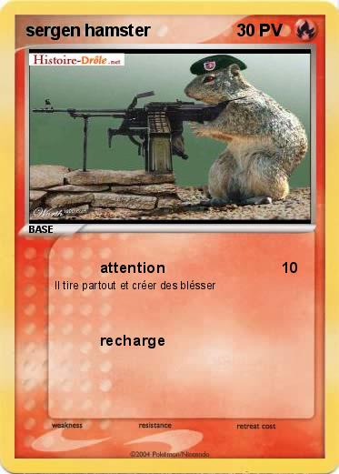 Pokemon sergen hamster