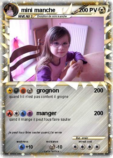 Pokemon mini manche