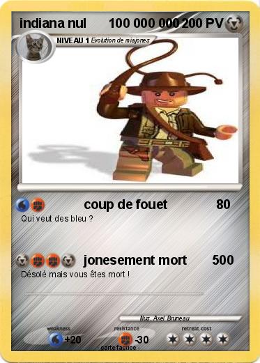 Pokemon indiana nul      100 000 000