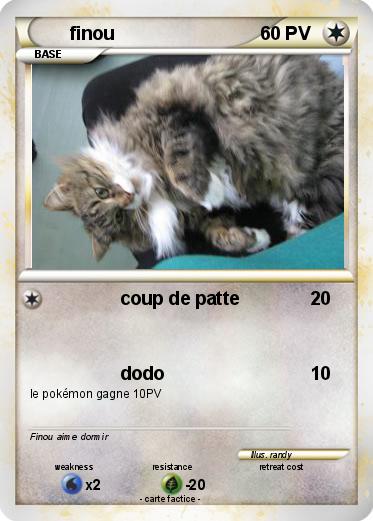 Pokemon finou