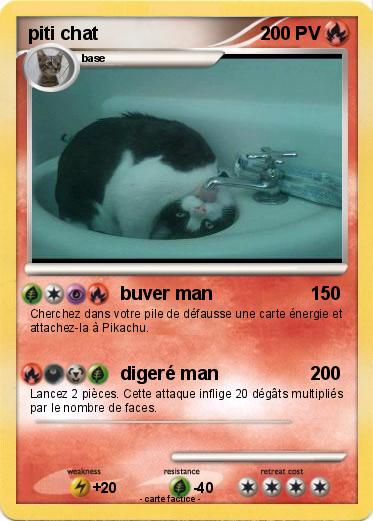 Pokemon piti chat