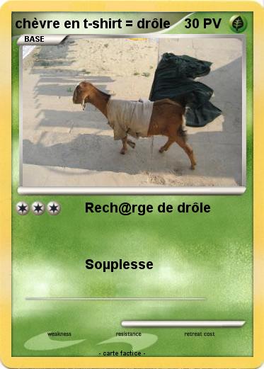 Pokemon chèvre en t-shirt = drôle