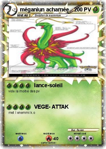 Pokemon méganiun acharnée