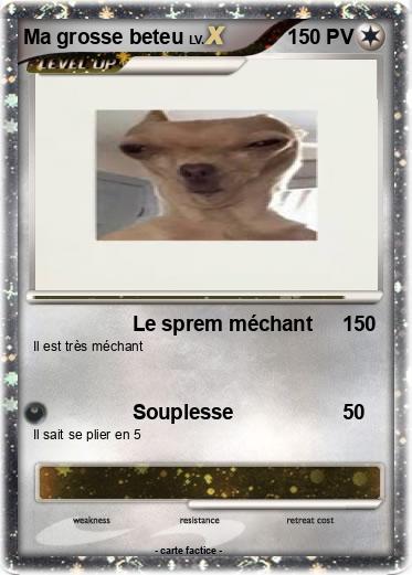 Pokemon Ma grosse beteu
