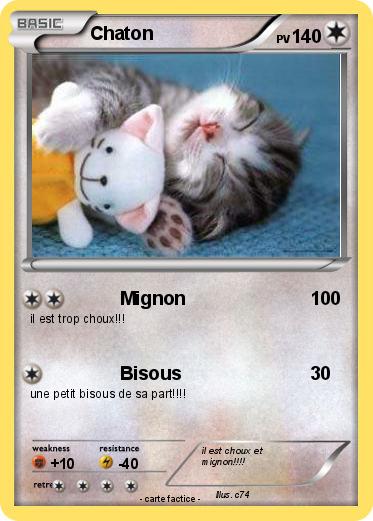 Pokemon Chaton